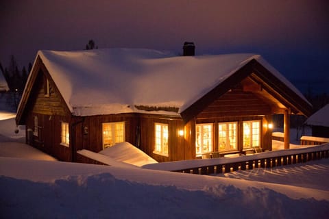 Winter evening
