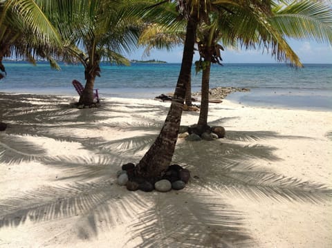 Picture of the beach and reef from in front of the house. 