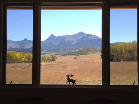 View from the living room.