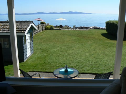 View from the living room