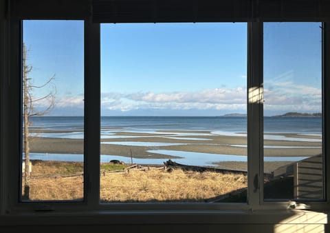 Your front window view!!