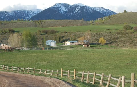 View of the house from the road.