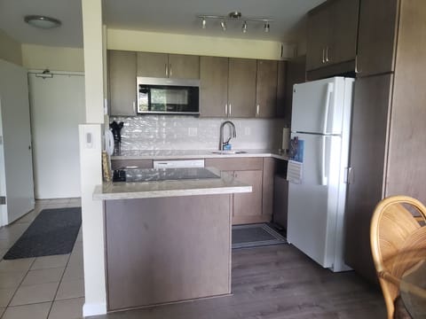 Kitchen, stove top and convection microwave.