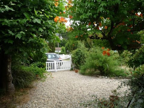 Garden, Park