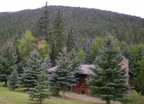 Cabin, east side