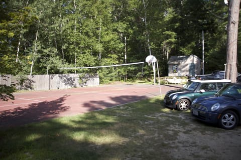 Basketball, Volleyball, Badminton, Pickle 
Ball and Skateboarding. 