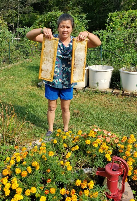 Nora with a couple of "capped" honey frames.