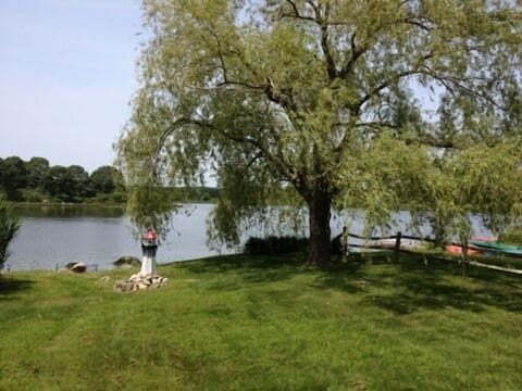 Relax With A View!