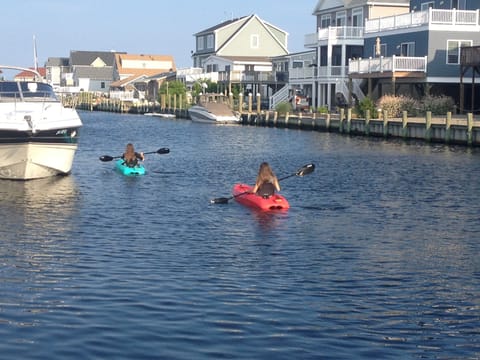 Kayaks