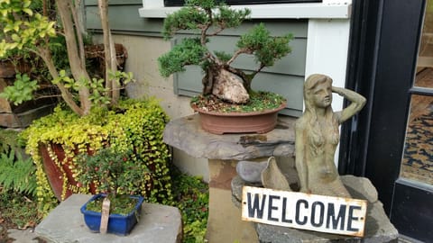 Welcome Mermaid