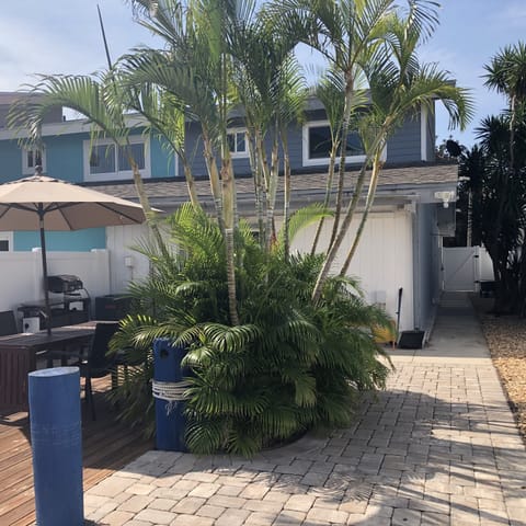 Another view of the backyard 