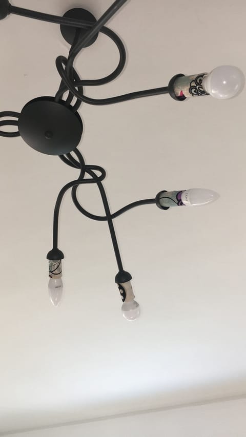 Hand-held showerhead