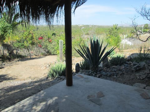 Hideaway palm stunning grove view