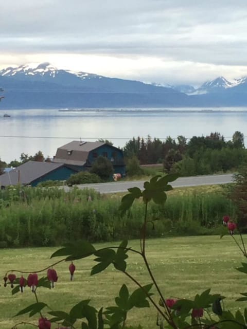 Bleeding Hearts overlooking Kachemak Bay & the Homer Spit