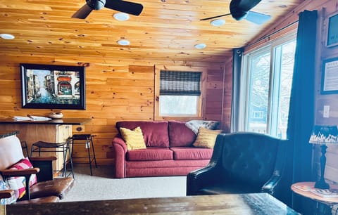 Living room, pull out sofa !