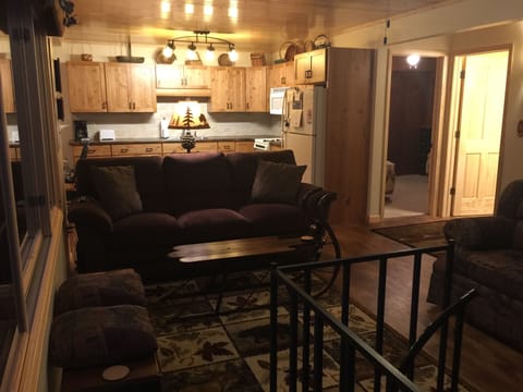 Living room and kitchen