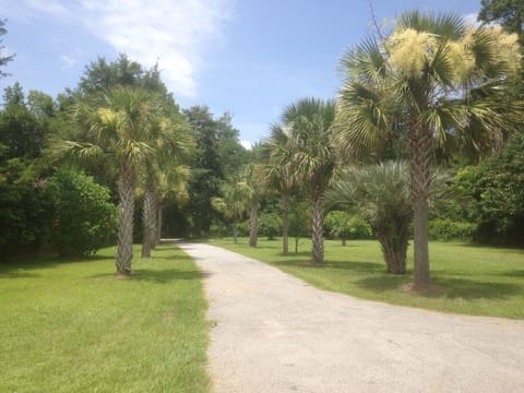 Welcome to 9 Sunmist Cottage!