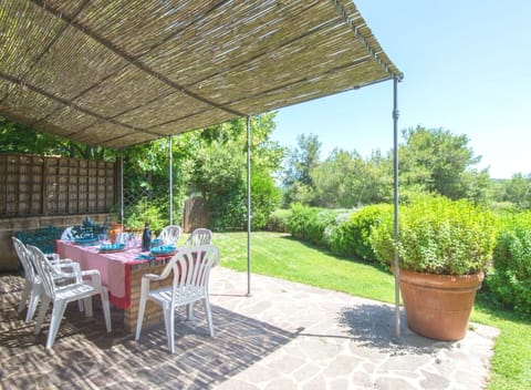 The patio and the garden