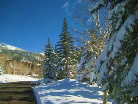 Our private road (Woodland View Dr) directly in front of condo entrance (right)