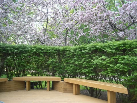 Back deck in the spring