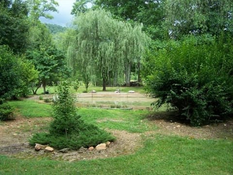 Catfish pond for catch and release. Some weigh 10 lbs. or more!