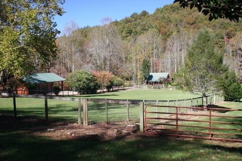 This long view shows the cabin and garage. You can park under the extended roof