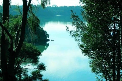 view from top deck - down to wood bay