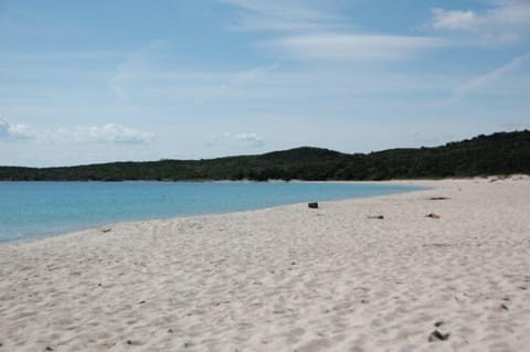 Nearby beach (driving distance, this is not the beach within walking distance)