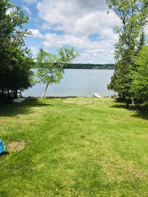 Gorgeous front lawn!