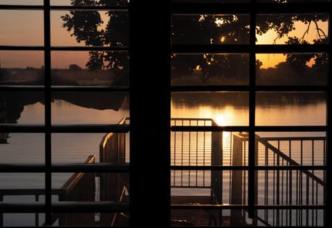 View from the living room.