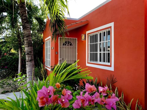 Front of the House