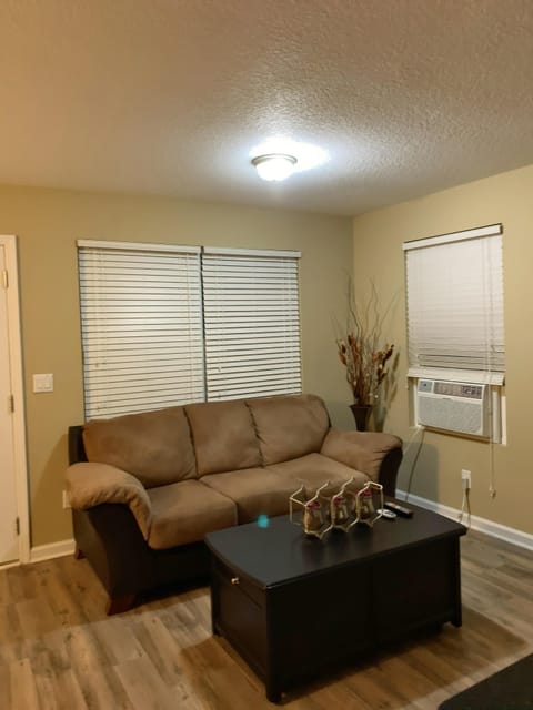 Living room with extra window air conditioner.
