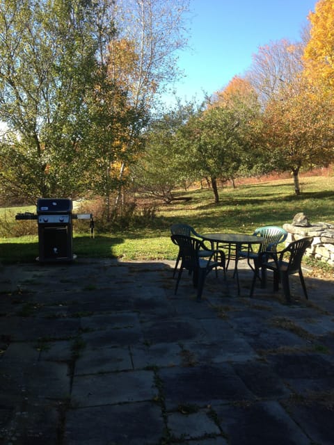 back patio with grill and seating overlooking the apple orchard by the cottage