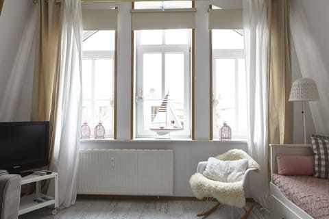 Beautiful, large and bright windows in the Living Room 