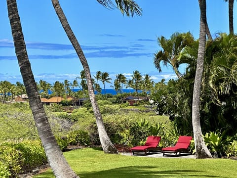 1.5 acre property,  expansive lawn, chaise lounge, ocean view