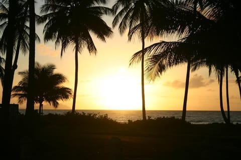 Morning at the beach. Welcome to our home.