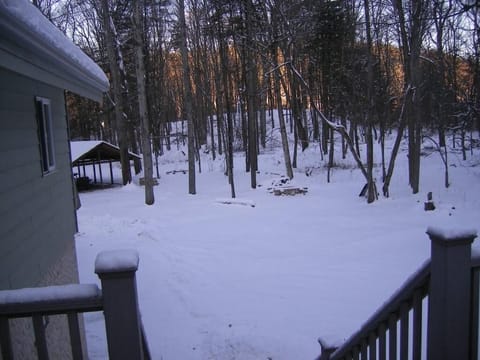 Herbie's Winter Wonderland