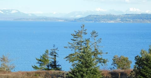 View of Saratoga Passage