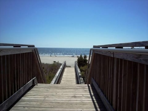 Your bridges to Paradise
