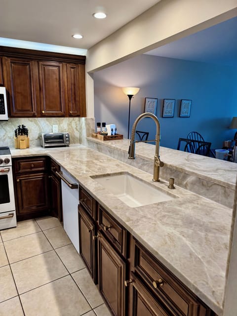 Brand new sink & dramatic pulldown faucet