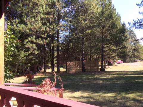 view from Cabin to owners home w/ bamboo privacy and woods between.