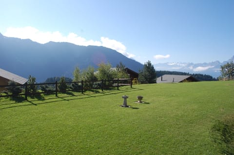 The garden in summer