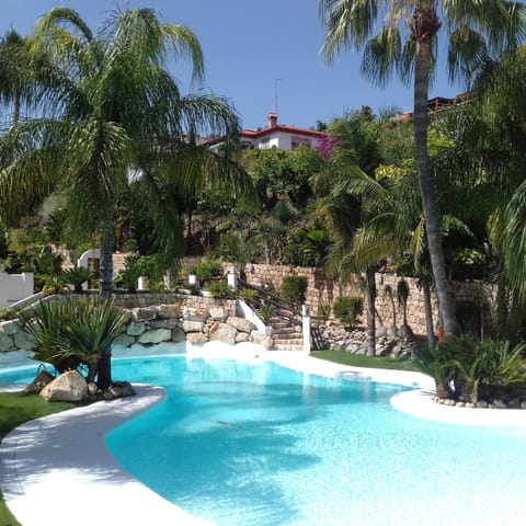 The communal pool is surrounded by exotic palms, so beautiful.