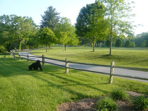 Sparrow’s Rest On The 6th Fairway