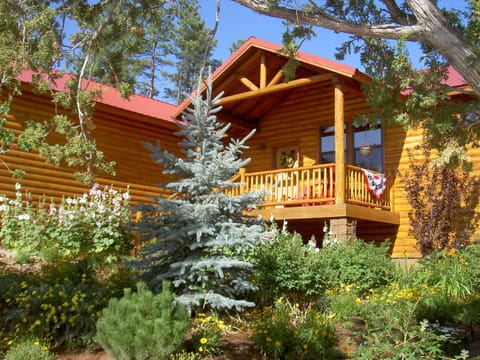 Summer at the Spruce Lodge