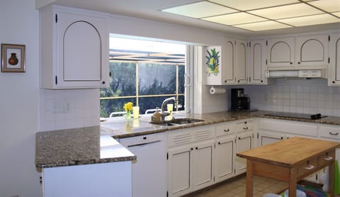 Fully equipped kitchen with dishes, cooking utensils and appliances