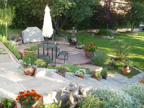 Backyard in Bloom