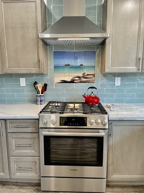 Bosch gas stove/oven