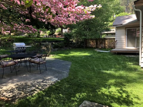 Back yard with outdoor furniture and BBQ