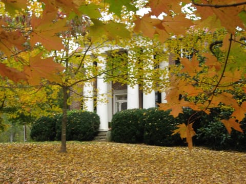 Front lawn in the fall.
